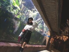 -华夏文旅西安度假区