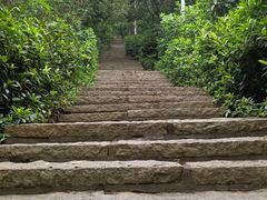 -水濂山森林公园