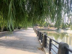 -月湖风景区