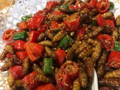 辣椒炒蚕蛹-绿雅居原生态农庄(小涌店)