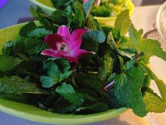 薄荷-伴山牛贵州黄牛肉火锅·苗疆非遗艺术餐厅(上海首店)