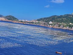 -枸杞岛
