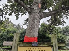 -福建鲤鱼洲酒店