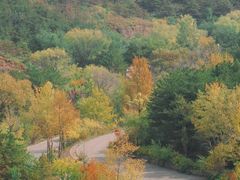 -大青山野生动物园