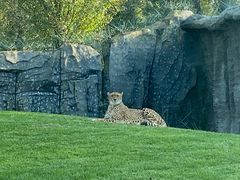 -北京野生动物园