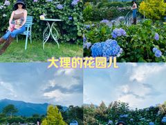 -猫米花园