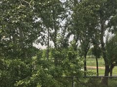 -北京鸿华高尔夫练习场