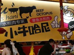 -小牛哈尼章鱼水煎肉(金鹰店)