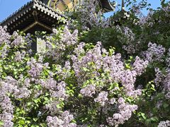 -西宁市东关清真大寺