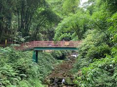-川西竹海景区