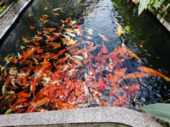 -新灿记大酒楼