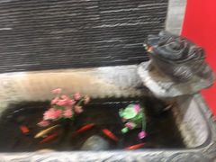 -宝泉铜锅(高新店)