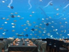 -瑞德姆美人鱼海底演艺主题餐厅(亚龙湾店)