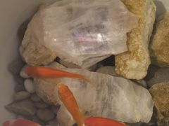 -彭城味道.地道徐州味(怡海花园店)