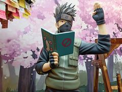 -火影忍者动画多媒体展