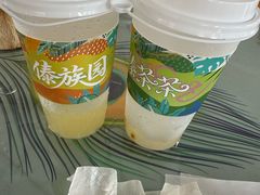 -西双版纳傣族园
