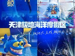 -海合安天津极地海洋公园