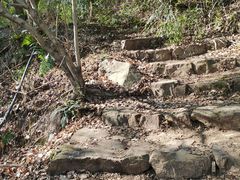 -苏州上方山国家森林公园