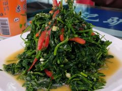 敦煌苜蓿-许记驴肉黄面胡杨焖饼