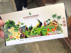 -呀路古热带植物园