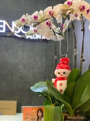 -意廊 Hair Salon