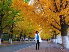 -辽东学院(南校区)