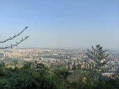 -杭州半山国家森林公园