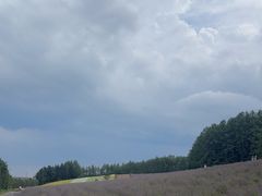 -富田农场