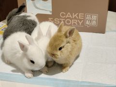 -大象厨房(重庆道店)