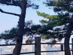 -崂山仰口游览区