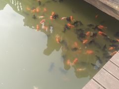 -枫香湖儿童公园