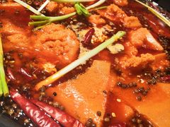 -蜀辣居鲜货老火锅(红牌楼店)