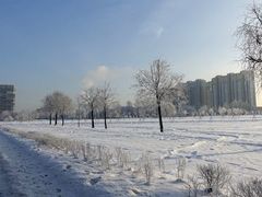 -维乐口腔医院(星海湾分院)