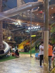 -卡通尼·Safari非洲探索乐园·生日会(金桥国际商业广场店)