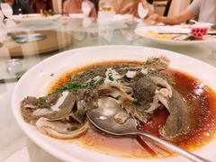 清蒸多宝鱼-黄埔华苑酒家(黄埔总店)