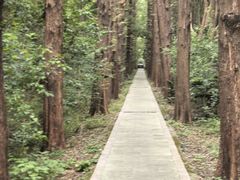 -同里国家湿地公园