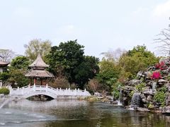 -顺峰山公园