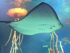 -沈阳海洋探索中心