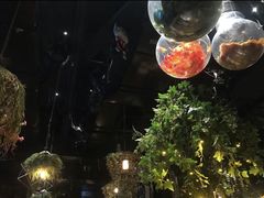 -村理·乡村菜音乐餐厅(河西店)