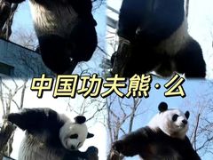 -北京动物园