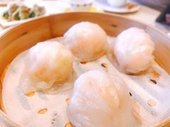 渔村野生虾饺皇-南海渔村(珠江新城店)