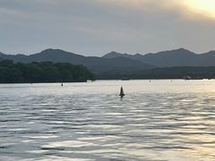 -西湖游船