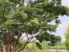 -云南滇池花园国际大酒店温泉