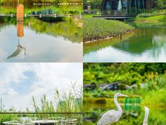 -星乐度·露营小镇