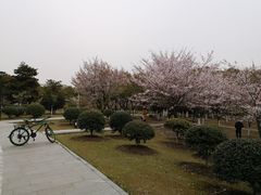 -公益图书馆(江南大学店)