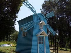 -铁山坪森林公园