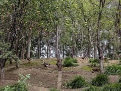 -翠湖国家城市湿地公园