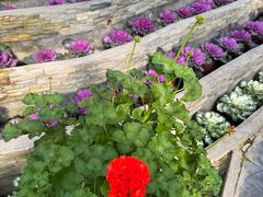 -兰陵国家农业公园