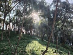 -长乐公园游乐场