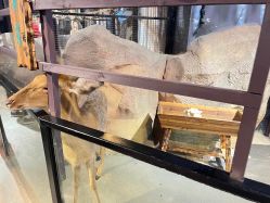 -酷嗒动物文化乐园(cutezoo西溪乐天城店)